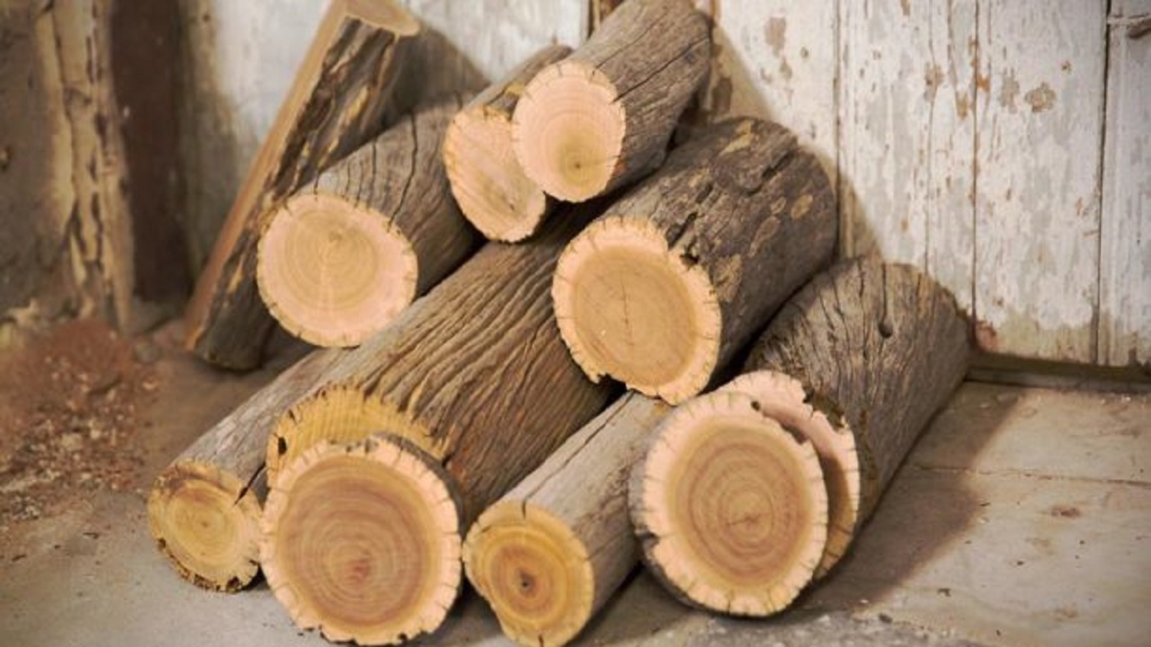 قاچاق چوب در خرمدره ۹۰ درصد کاهش یافت