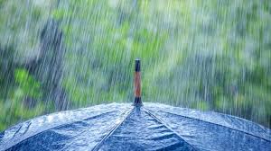 کاهش دمای هوا و تداوم بارندگی ها تا عصر جمعه در استان همدان/ باغات و مزارع آبیاری نشوند