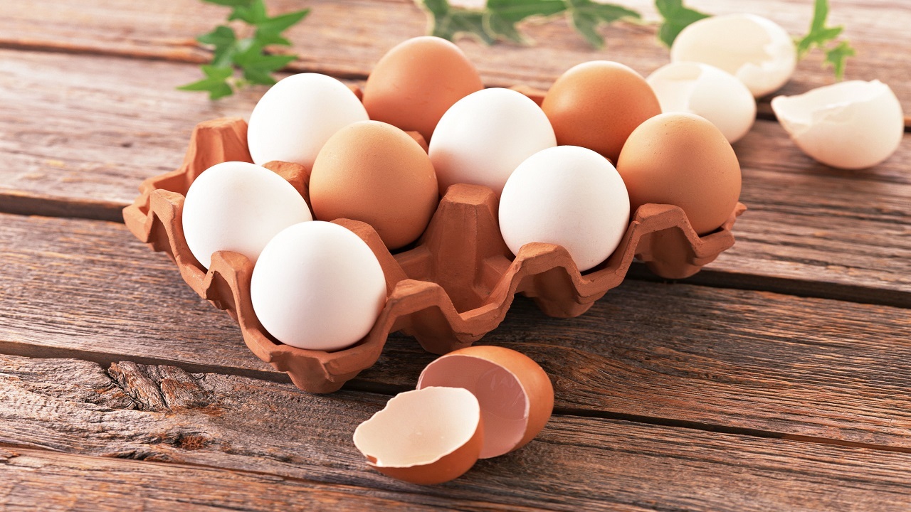 صادرات تخم‌مرغ از سر گرفته می‌شود؛ نرخ هر کیلو تخم‌مرغ ۱۱ هزار و ۵۰۰ تومان