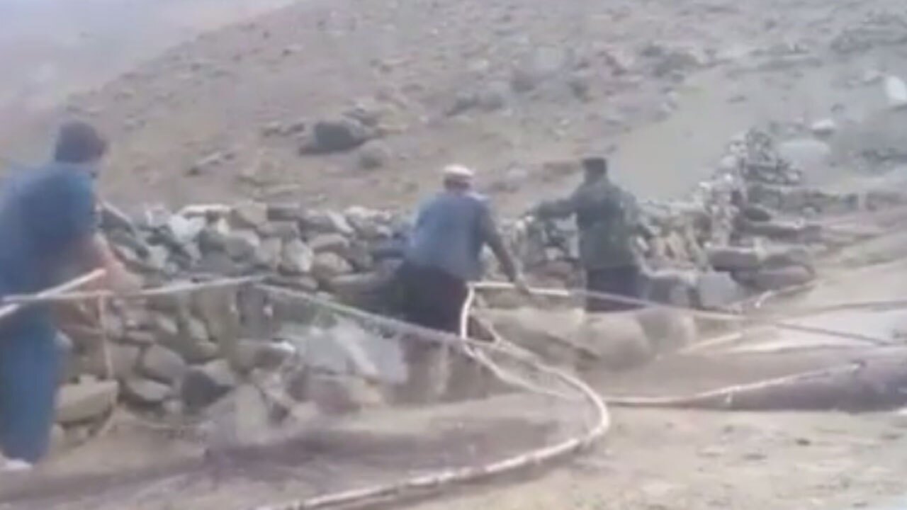 شکار بی رحمانه دسته‌های بزرگ گنجشک در افغانستان + فیلم