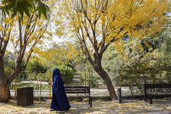 پاییز هزار رنگ در بوستان ملت تهران