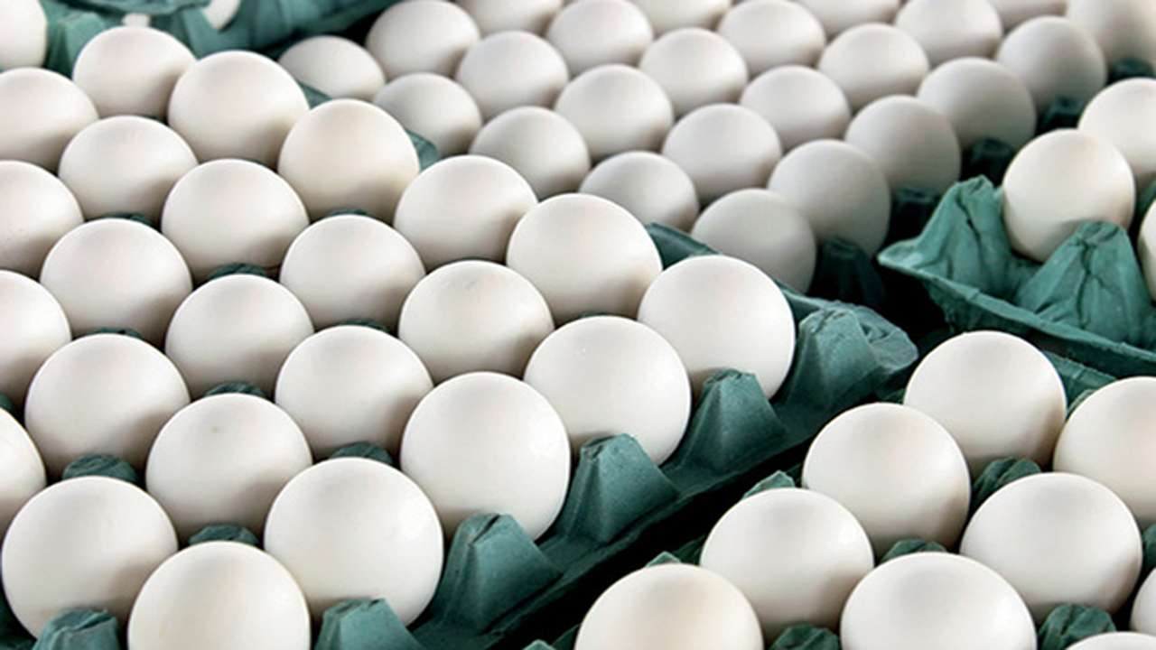 توزیع تخم مرغ‌های احتکار شده با نرخ دولتی بین مردم