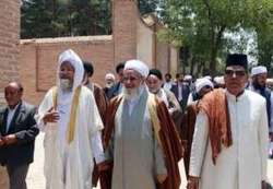 برگزاری جشن با شکوه میلاد پیامبر اعظم(ص) در صنعا + فیلم