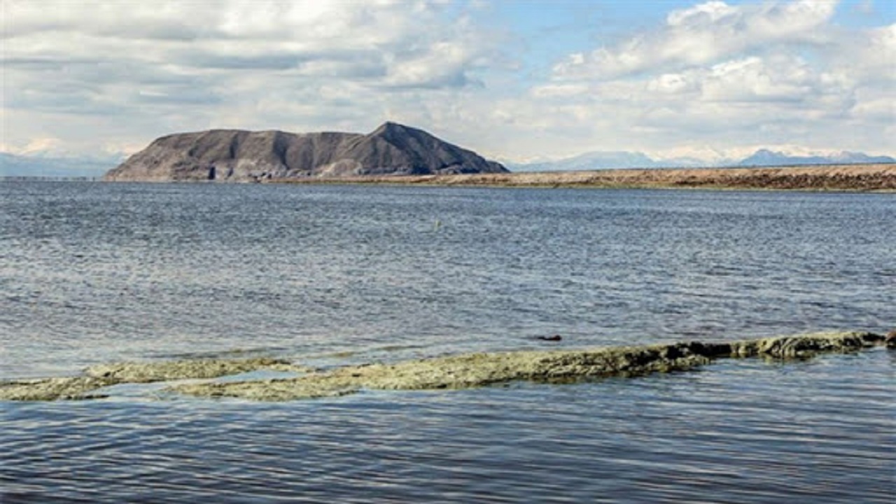 کاهش سطح تراز آب دریاچه ارومیه نسبت به سال گذشته/ بازگشت فلامینگو‌ها به دریاچه ارومیه