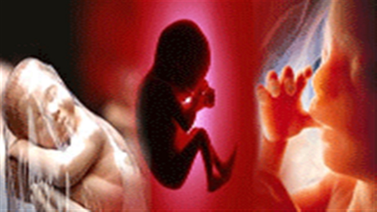 پاسخ سوالات شرعی درباره احکام «سقط جنین»