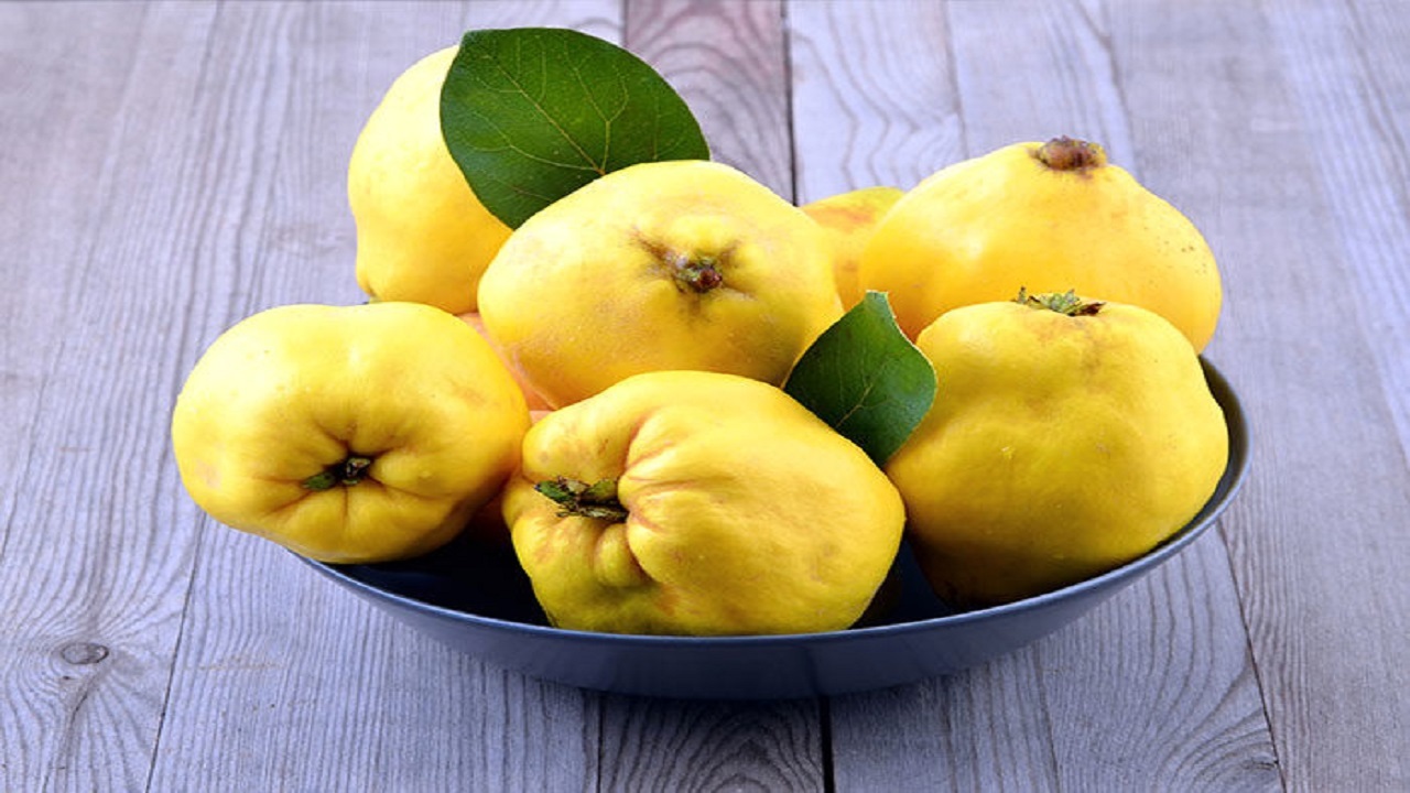 خواص شگفت‌انگیز میوه «به» برای سلامتی و درمان بیماری‌ها