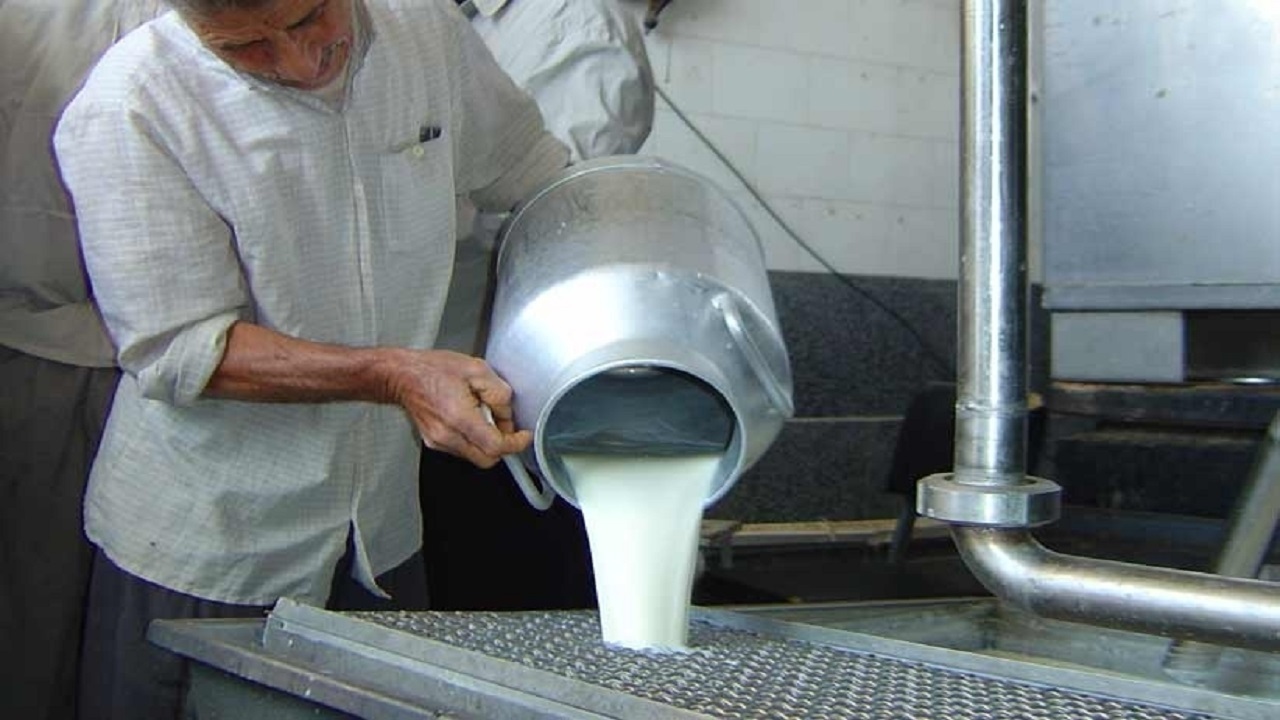 تولید سالانه ۲۵۶ هزار تن شیر در چهارمحال و بختیاری
