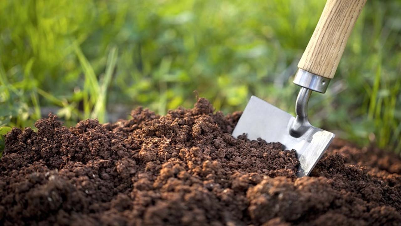 خاک بستری برای حفظ پوشش گیاهی و تامین امنیت غذایی است