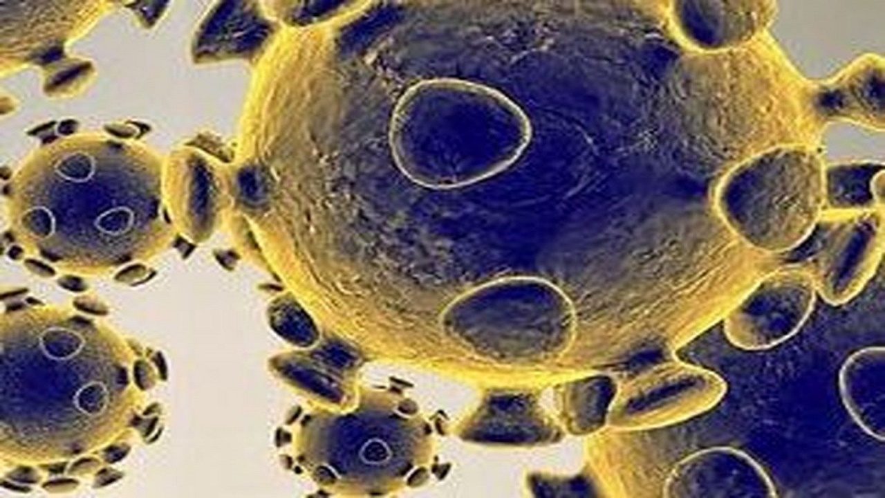 مقابله با کروناویروس به کمک مولکول‌های گوگرد