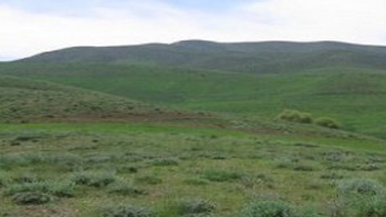 اجرای طرح ممیزی مراتع در اراضی ملی لارستان