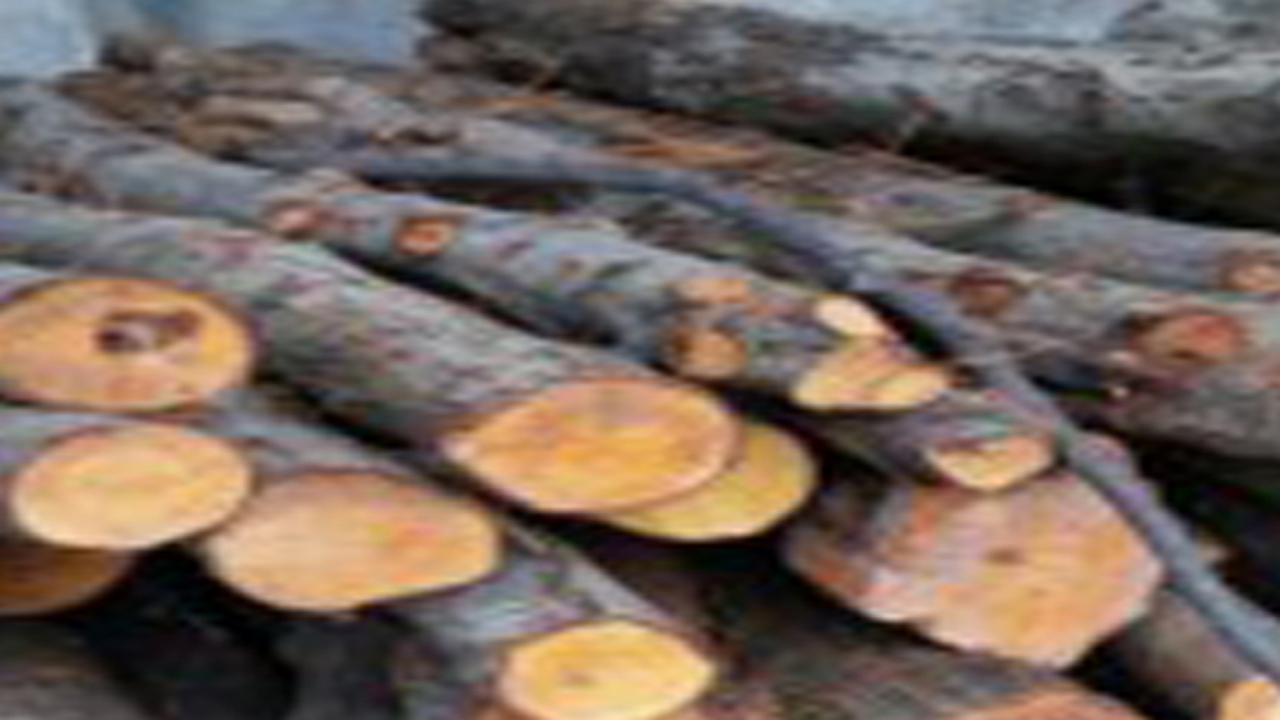کشف محموله قاچاق چوب آلات جنگلی در ممسنی