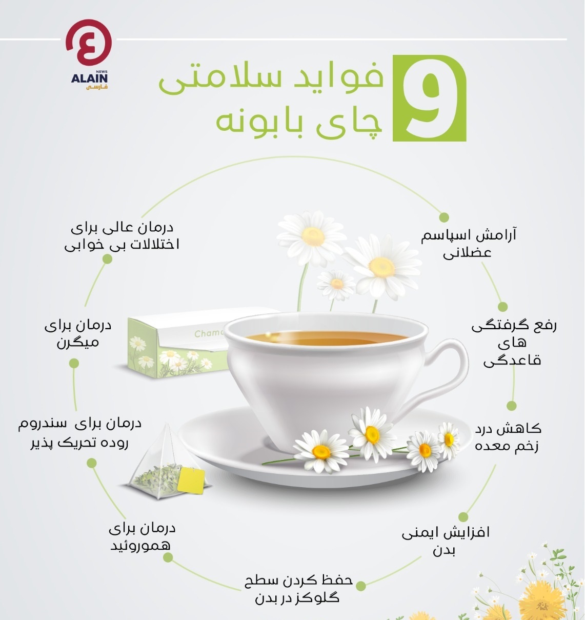 ۹ فایده سلامتی چای بابونه +اینفوگرافی
