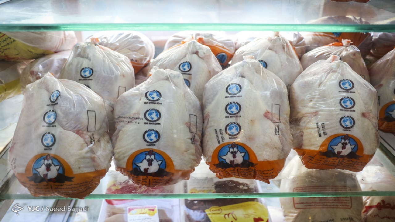 توزیع مرغ منجمد در سراسر کشور با قیمت مصوب