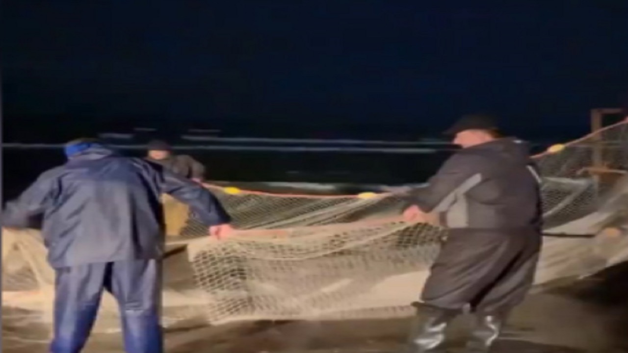 فیلمی از گیله مردان غیور که شب عید هم مشغول ماهیگیری هستند