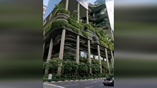 سنگاپور،هتل،پيكرينگ