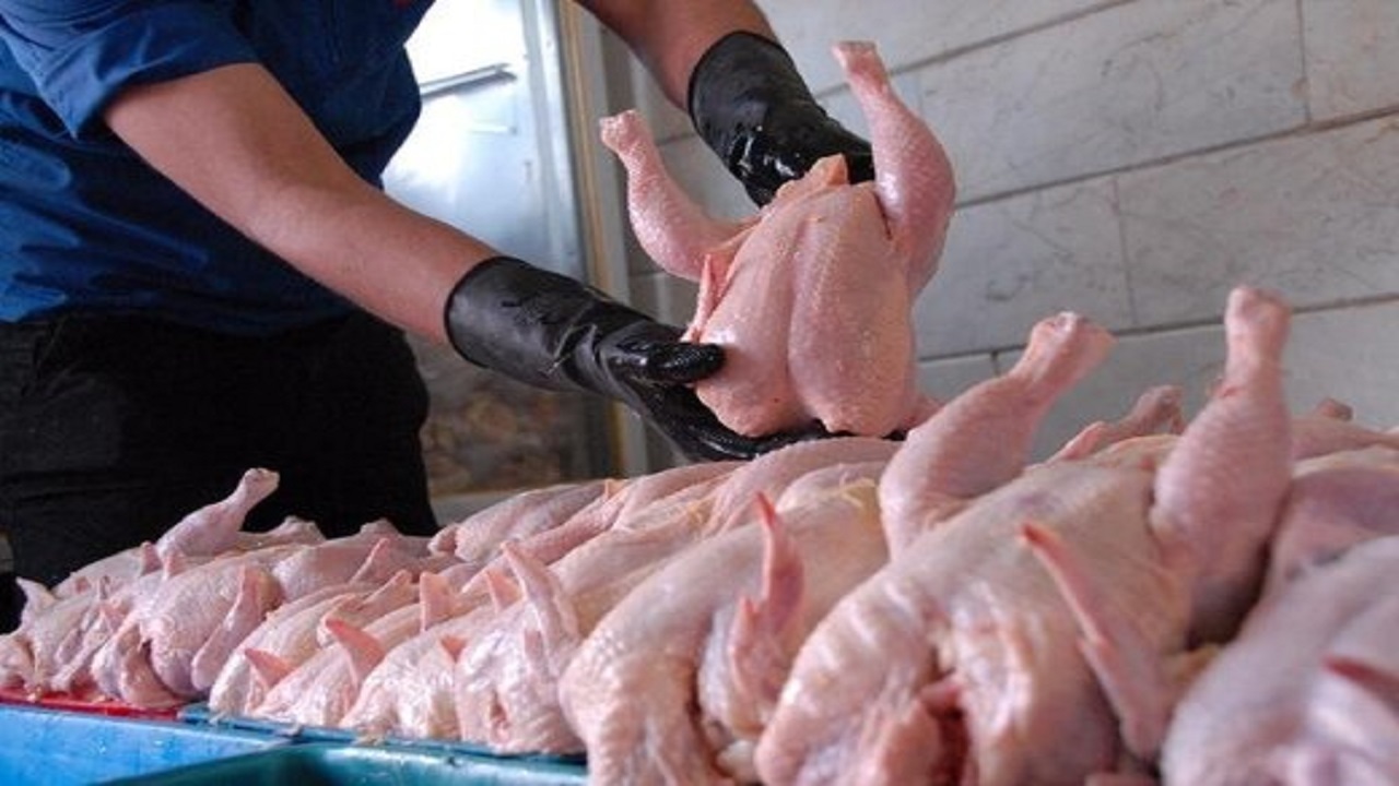 احتمال خرید هیجانی مرغ در آستانه ماه رمضان
