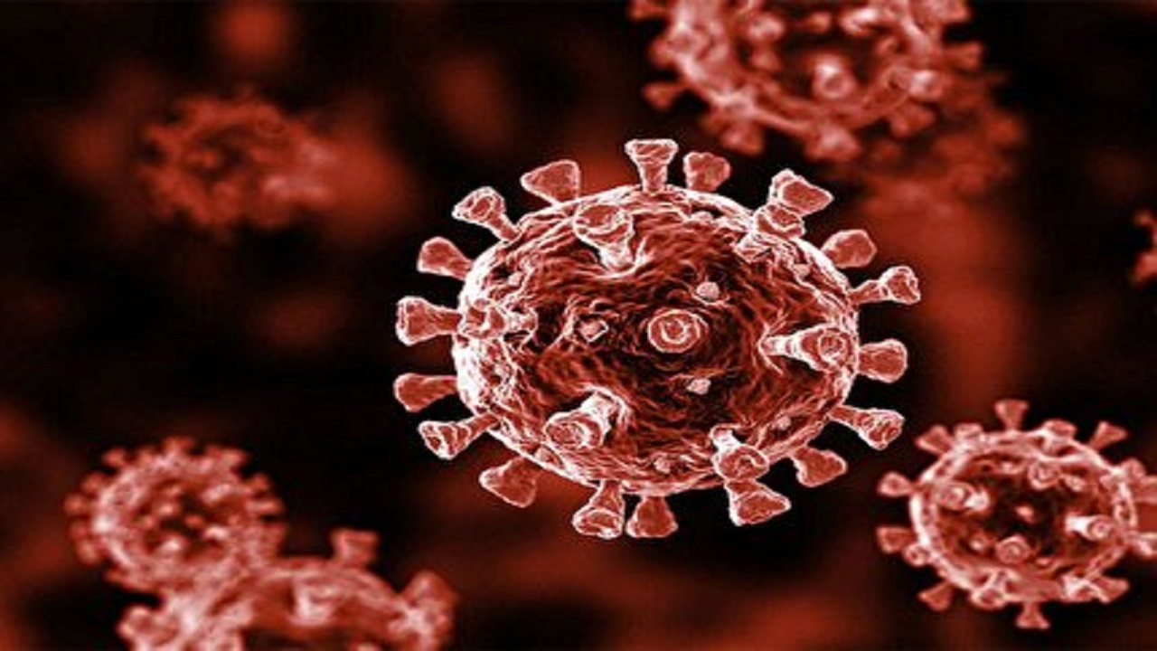ویروس برزیلی در کشور شیوع پیدا کرده است؟ + فیلم