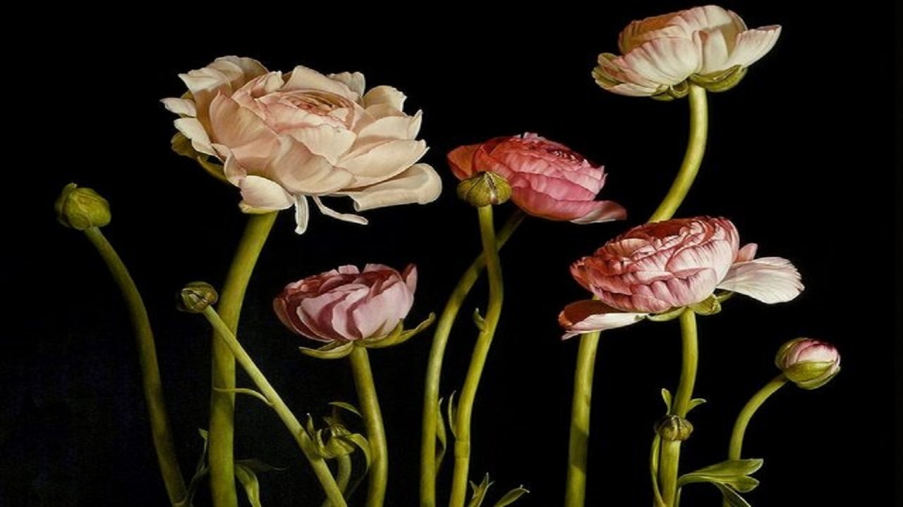 گل‌هایی که شاهکار‌های گران قیمت شدند + تصاویر