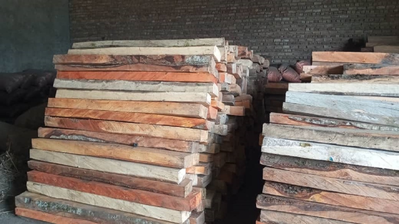 کشف ۱۰۰ اصله چوب آلات جنگلی قاچاق در استان اردبیل