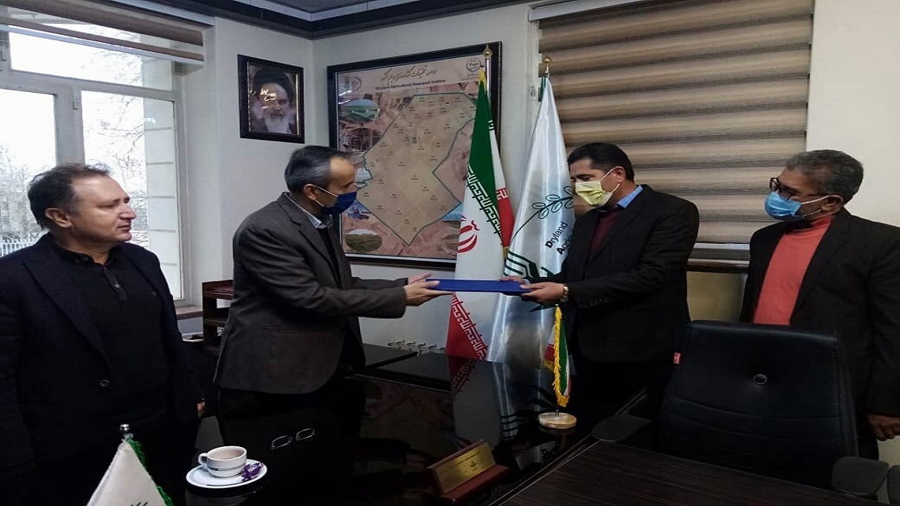 دانش فنی تولید و تکثیر ارقام نخود و ماشک به بخش خصوصی واگذار شد