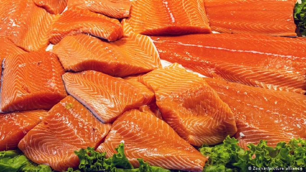 فواید ماهی سالمون برای مقابله با تصلب شرایین