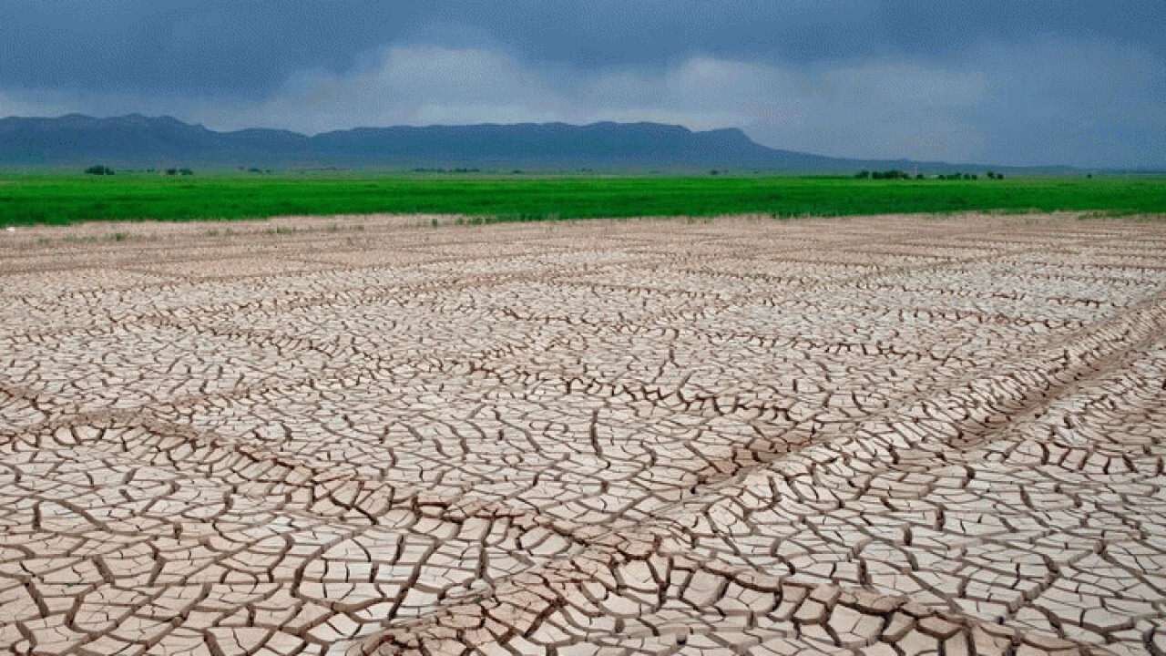 کاهش ۵۰ درصدی بارندگی در استان ایلام طی سال جاری