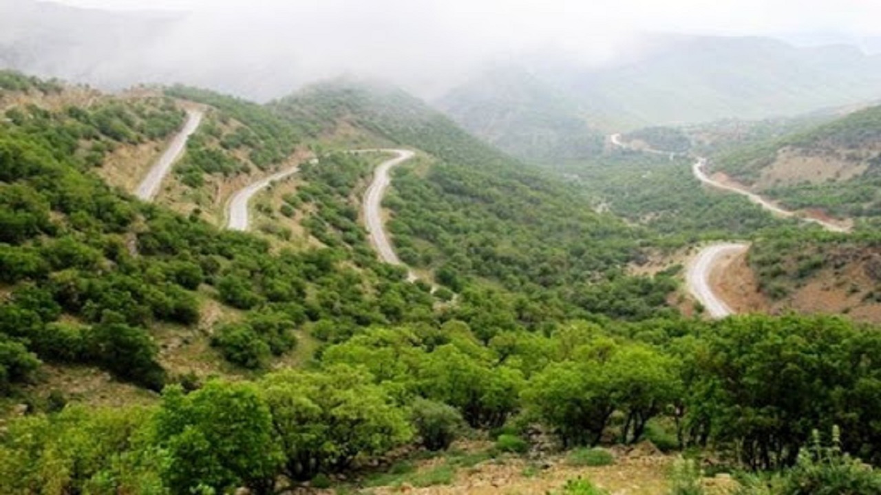 اجرای طرح پایش هوشمند درختان جنگلی برای اولین بار در کشور