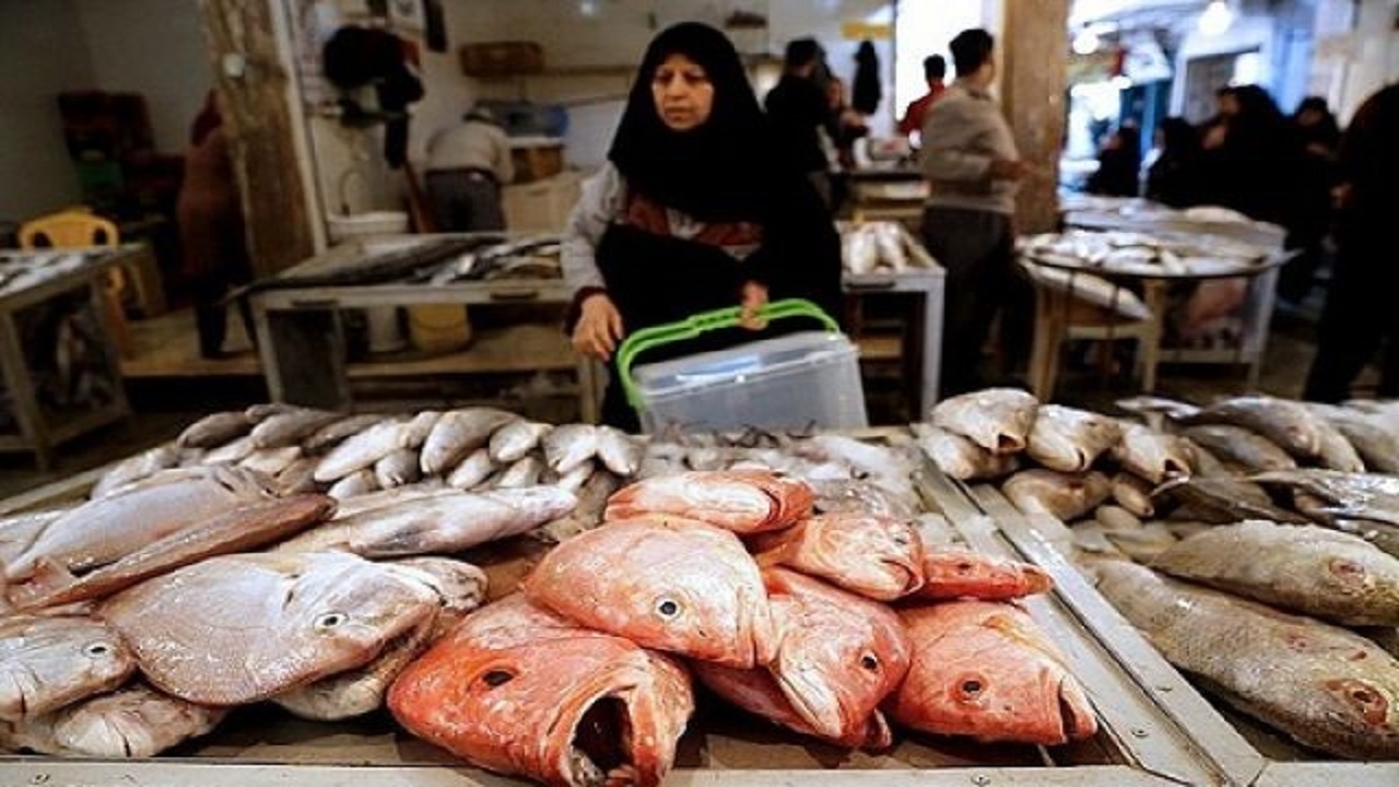 قالب کردن ماهی صافی به جای ماهی شیر بوشهر به مردم!