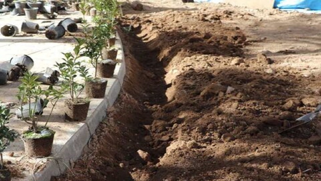 کاشت بیش از ۶۰۰۰ اصله نهال در عرصه‌های سبز منطقه ۴
