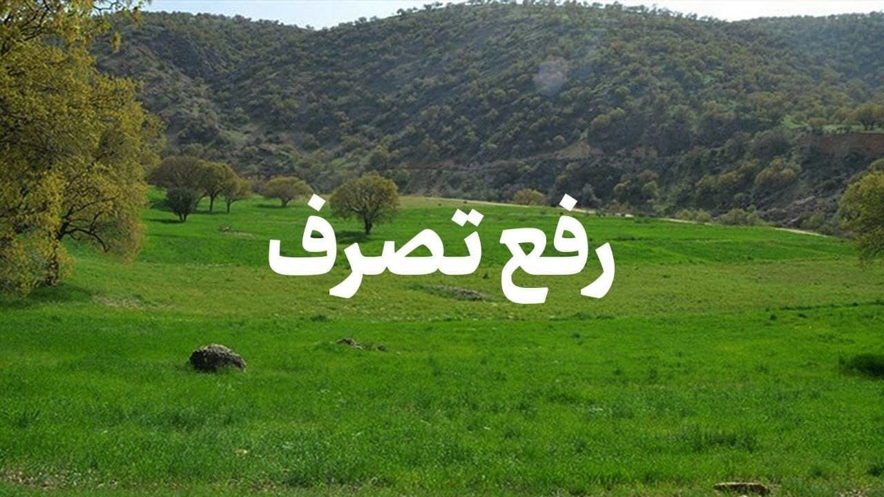رفع تصرف بیش از ۱۳ هزار مترمربع از زمین‌های دولتی در لاهیجان و سیاهکل