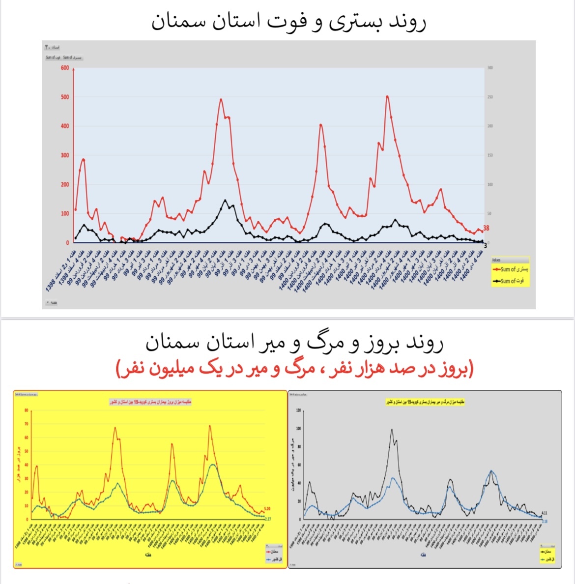 وضعیت بستری و فوتی استان‌  سمنان
