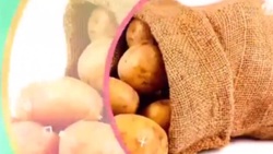 خارج کردن کرم ۱۵ سانتی از چشم + فیلم