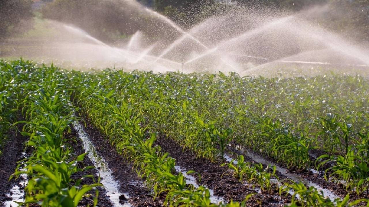 لزوم اصلاح متراژ آب مصرفی برای واحد‌های کشاورزی