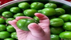 باشگاه خبرنگاران -این ۳ گروه نباید گوجه‌سبز بخورند