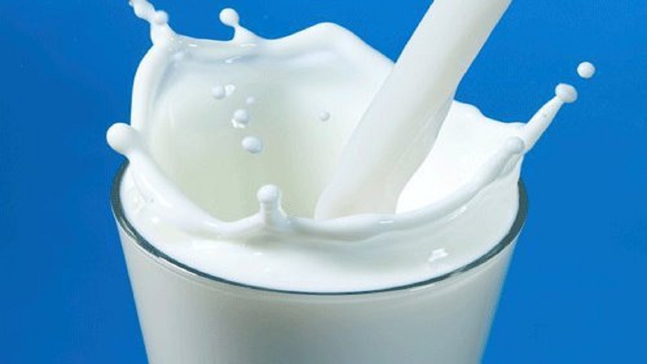 اعتراض دامداران به اختلاف قیمت تمام شده شیر با قیمت مصوب