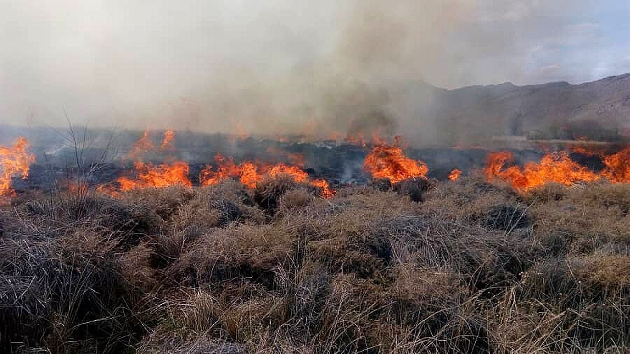 مهار آتش سوزی در مراتع سده