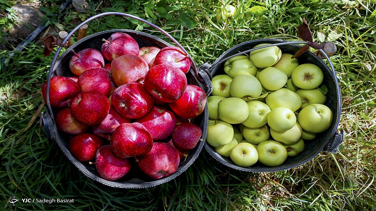 عرضه سیب زمینی با نرخ ۹ هزار تومان گرانفروشی است/ میوه‌های نوبرانه ارزان شد