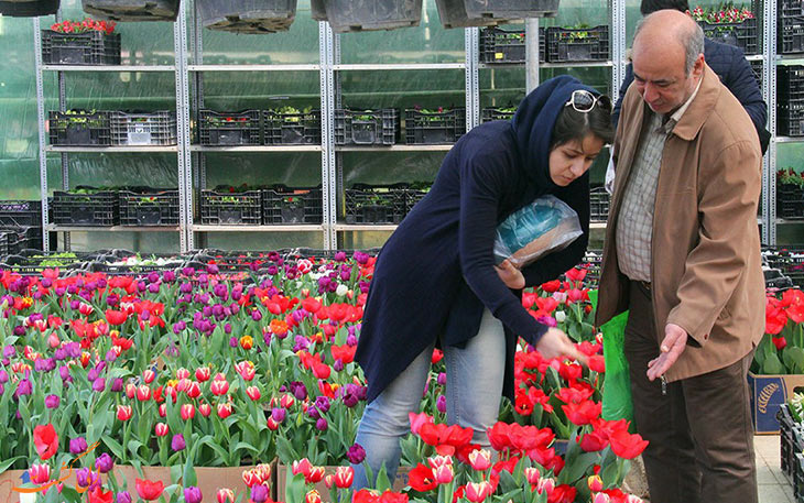 بازار گل‌های تهران، آدرس، ساعت‌کار و مشخصات