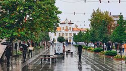 فیلمی بسیار دیدنی از آلاسکا + فیلم