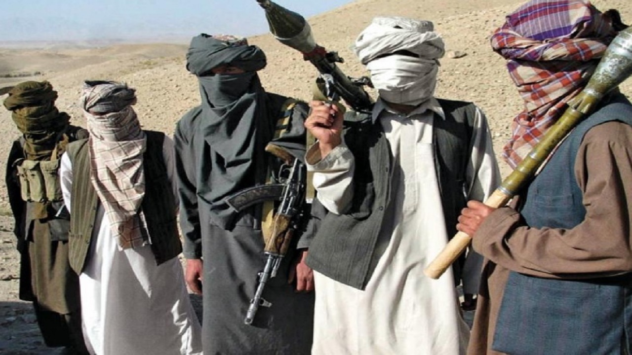 واشنگتن: طالبان ۲۰ درصد از مراکز ولایت‌های افغانستان را در اختیار دارد