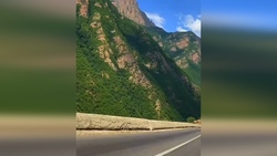 طبیعت تماشاییِ تابستان نشین + فیلم