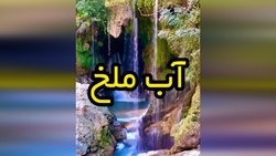 طبیعت تماشاییِ تابستان نشین + فیلم