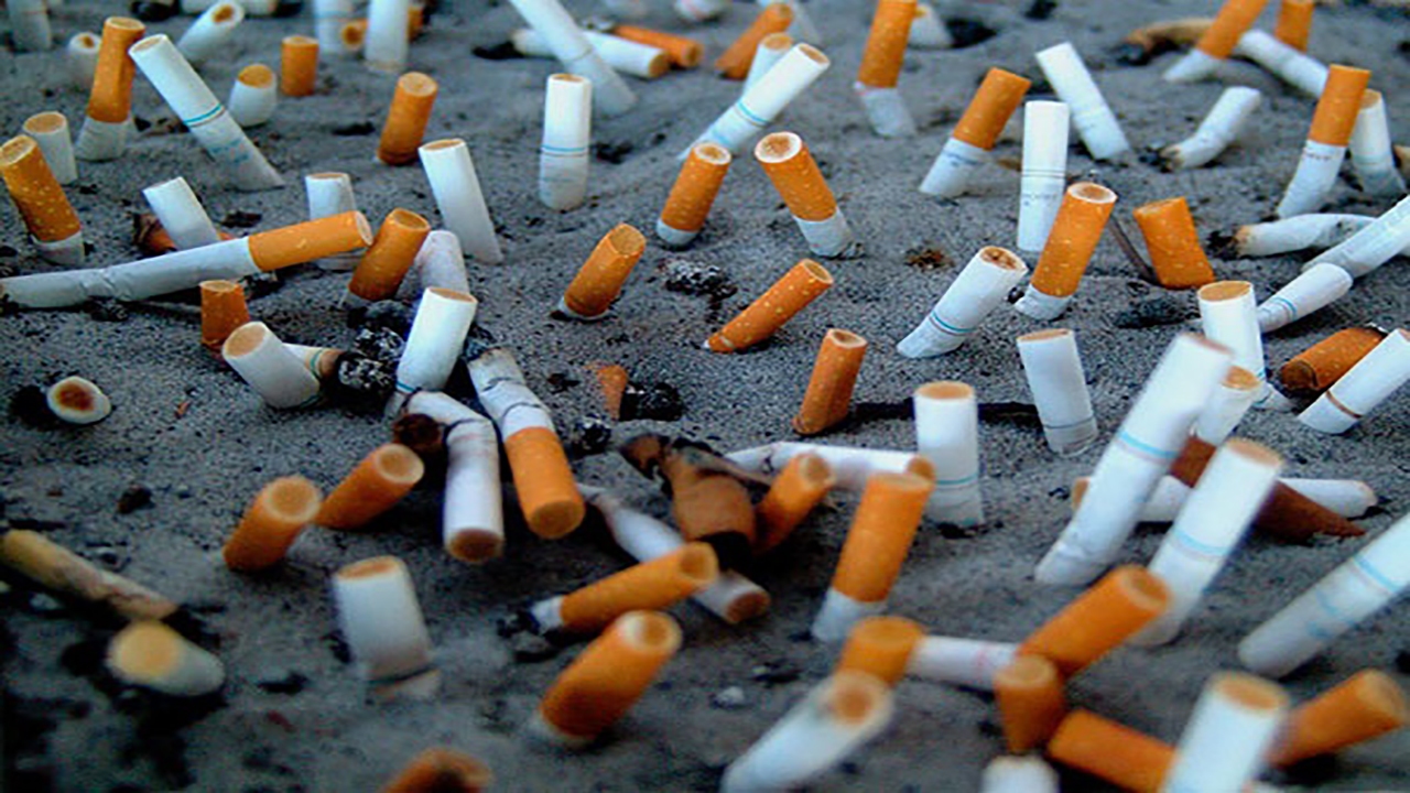 راهکار برخی کشورها در جمع آوری ته سیگار از لب ساحل دریا + فیلم