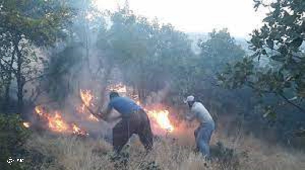 ۱۰فقره پرونده قضایی برای آتش‌سوزی جنگل‌های سردشت تشکیل شد
