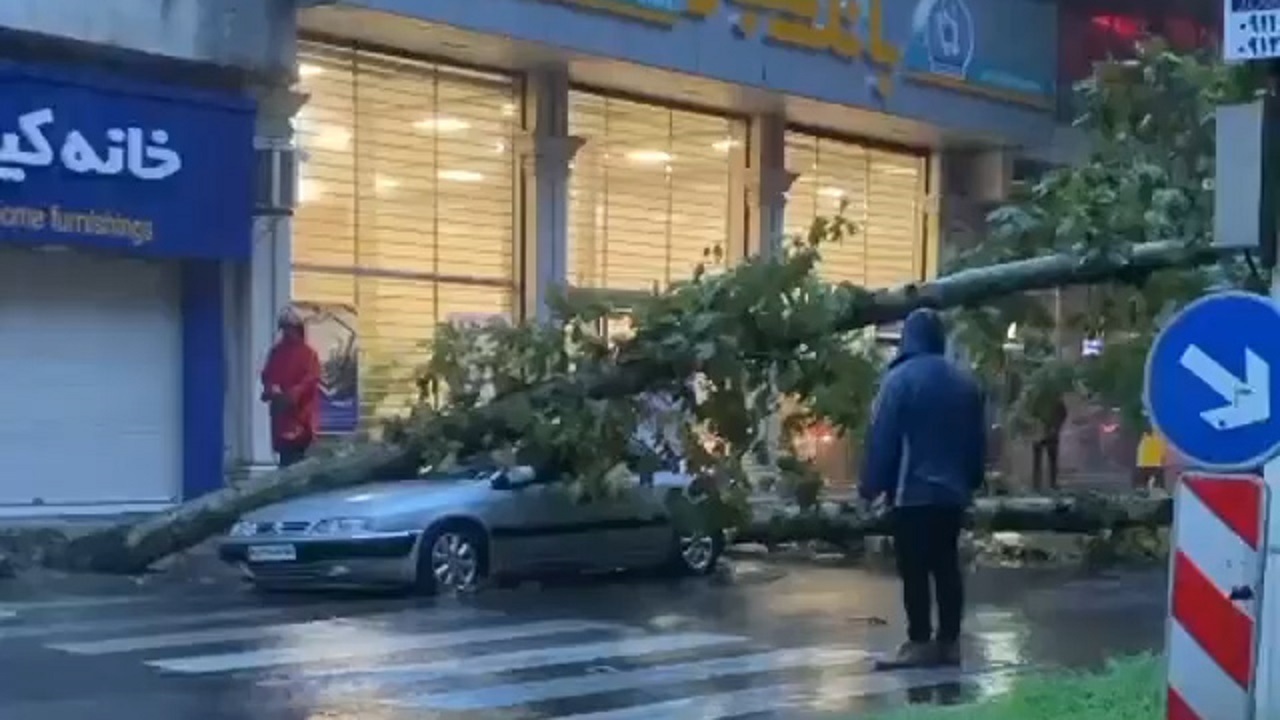 سقوط درخت بر روی زانتیا در رشت + فیلم