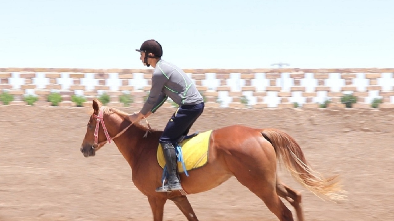 جمعه ۱۹ شهریور زرقان میزبان مسابقات پرش با اسب است