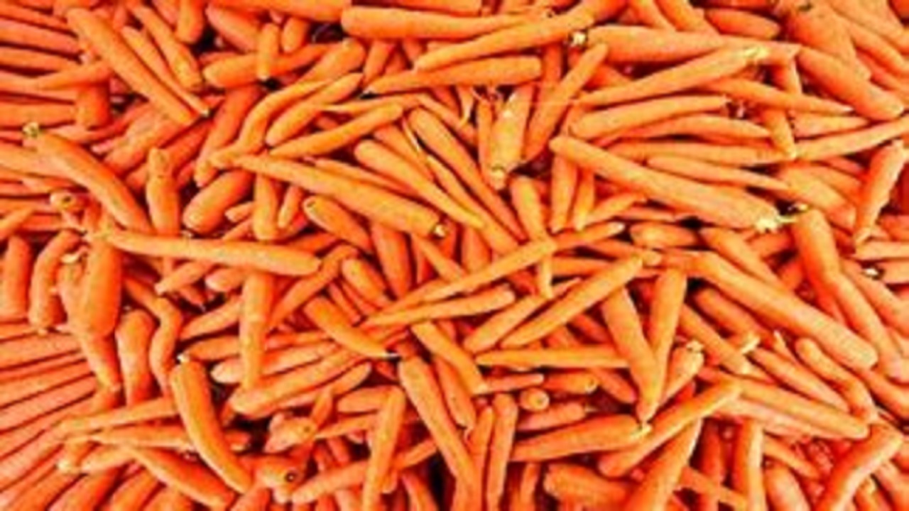 هویج ارزان می‌شود؟