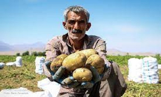 جای خالی صنایع تبدیلی در صنعت کشاورزی همدان