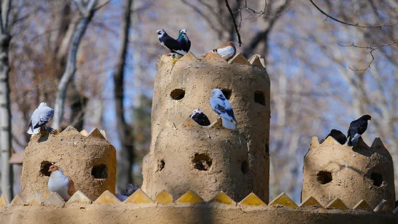 زیست ۱۹٠٠ پرنده در باغ پرندگان اصفهان