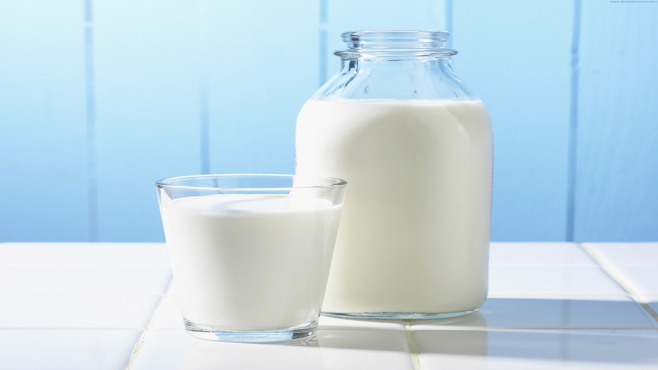 گرانی نهاده‌های دامی دلیل کاهش تولید شیر